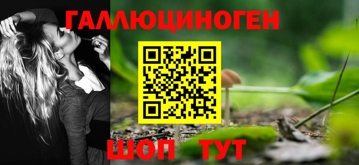 Галлюциногенные грибы Cubensis Менделеевск